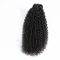 BUNDLE VIRGIN | Burmess curly